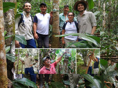 La FCDS y el Instituto Humboldt iniciaron la instalación de 38 dispositivos acústicos en 15 predios de familias campesinas del Guaviare que lideran proyectos de forestería comunitaria. | Foto: Jhon Barros (FCDS) | Foto: Jhon Barros (FCDS)