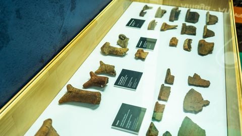 La protección arqueológica de zonas de influencia de la concesión, ha permitido el hallazgo de más 13.500 fragmentos invaluables.