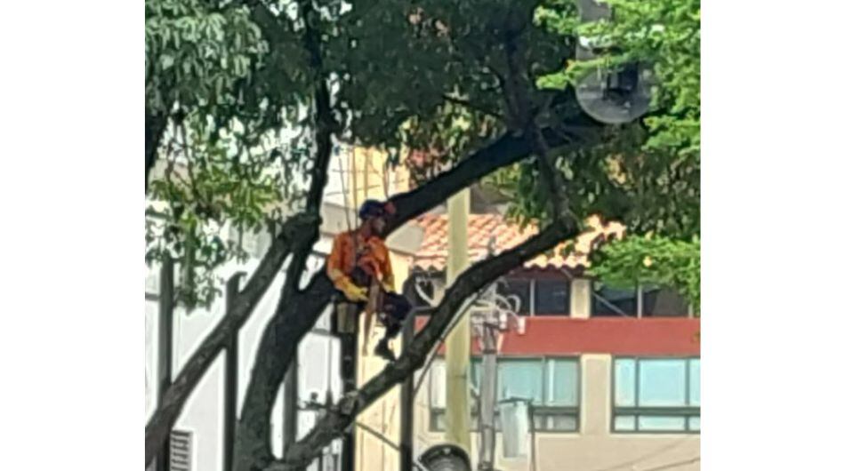 Polémica por funcionario de EPM podando árboles en Medellín.