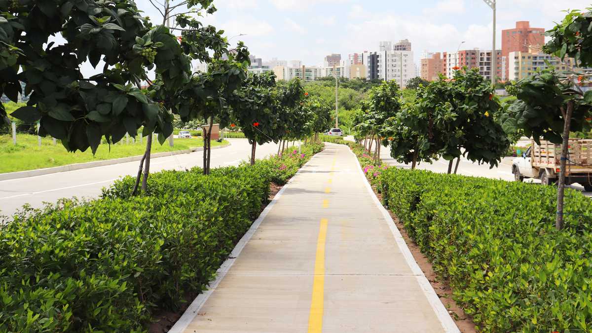 Desde 2018 se han sembrado 112.520 árboles a través del programa Siembra Barranquilla  y se  han recuperado 346 zonas verdes.