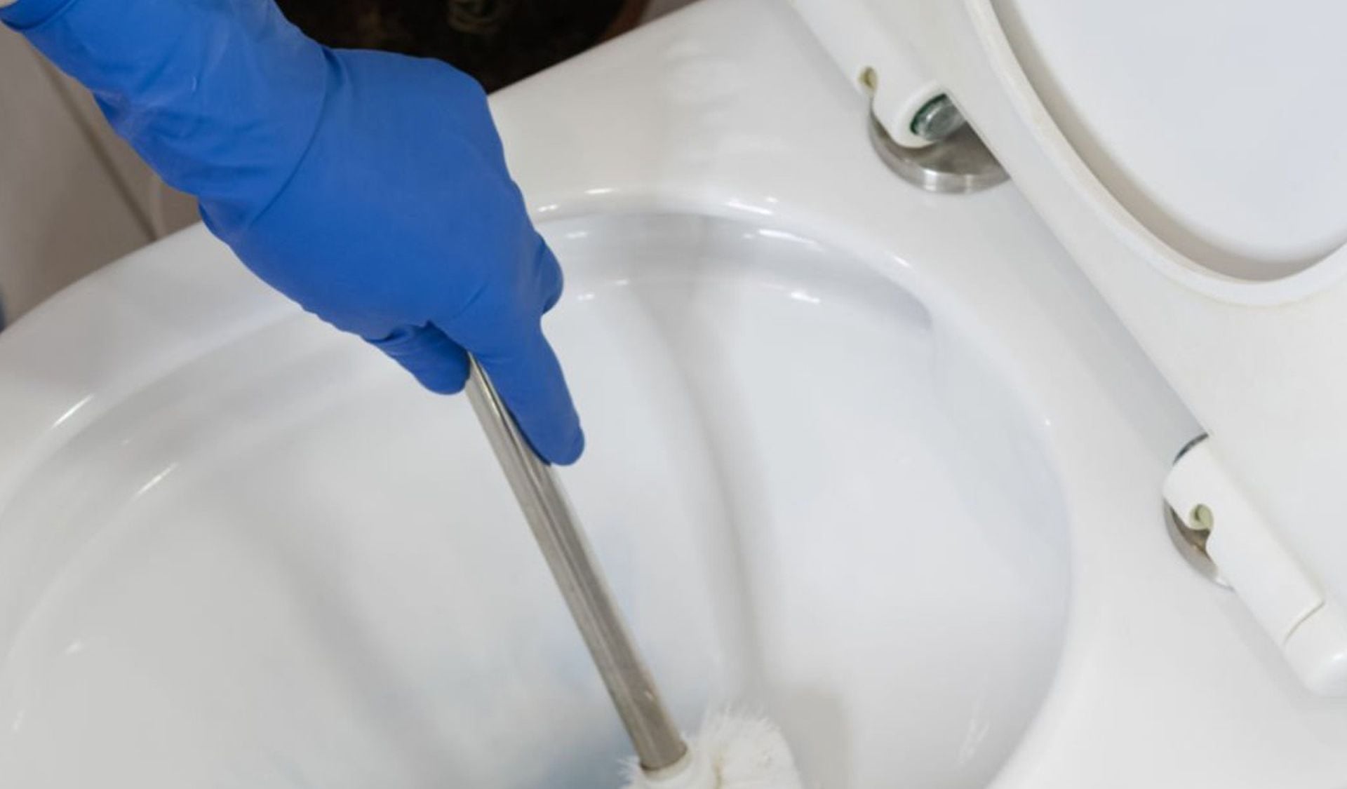 El trucazo del año para limpiar y desinfectar la escobilla del baño en 1  minuto SIN TOCARLA