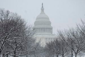 The US Capitol is seen beyond snow-covered trees in Washington, DC, on January 19, 2024. Local media forecasts 1 to 4 inches (2 to 10 cms) of snowfall for the region with temperatures in the 30s F (-1C) for the weekend. (Photo by Pedro UGARTE / AFP)