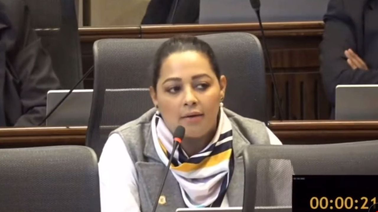 representante a la Cámara, Ana Paola García,