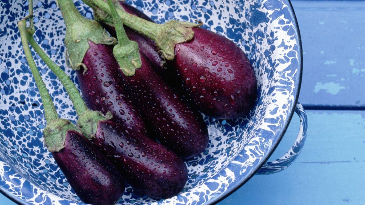 Eggplant contains flavonoids that can help lower cholesterol levels.  Photo: Getty Images.