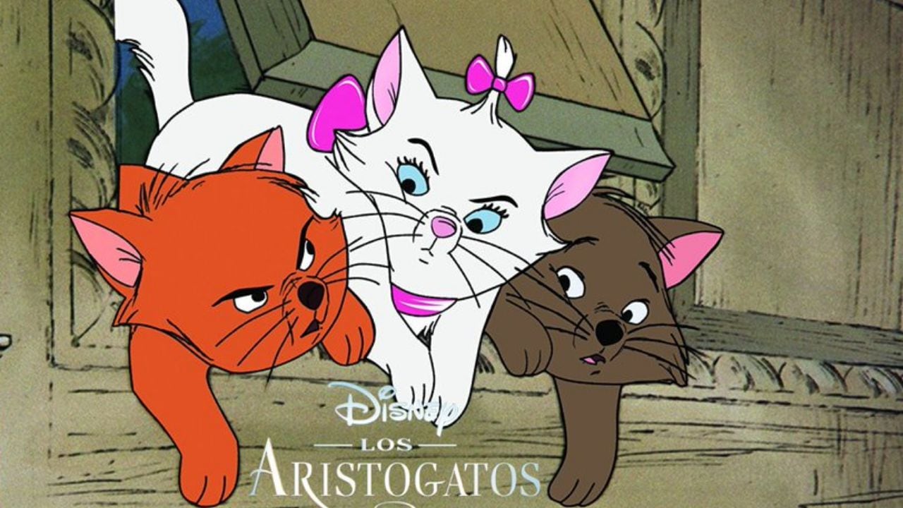 Aristogatos, aristocats.