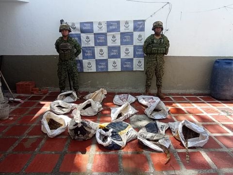 La Armada de Colombia rescató 105 babillas que iban a comercializarse en el Cesar. (Colprensa - Fotos suministradas por la Armada)
