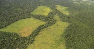 La deforestación es la actividad que más aporta a la emisión de gases de efecto invernadero en Colombia cada año. Foto: Cormacarena. 