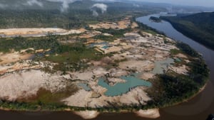 En los últimos 20 años se han destruido unos 3.800 km2 de cubierta arbórea en la Amazonía venezolano.