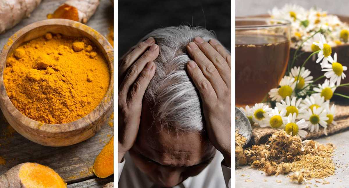 Chamomile and turmeric to eliminate gray hair: this is how they can be  prepared