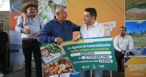 Cundinamarca materializará el programa ‘Compramos tu cosecha’, estrategia para compra de productos agrícolas, directamente a productores rurales.