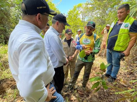 En cabeza de su embajador, Gali Dagan, inauguró el "Bosque de la Reconciliación y la Paz", en memoria de las víctimas de las minas antipersonal. Este proyecto que inició en el año 2021 simboliza un mensaje de paz y prosperidad para un país amigo como Colombia.