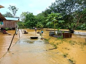 49 familias indígenas afectadas por las fuertes lluvias en Vigía del Fuerte.