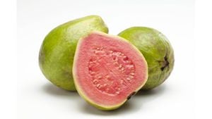 La guayaba es una fruta con más contenido de vitamina C que la naranja. Foto: Getty images.