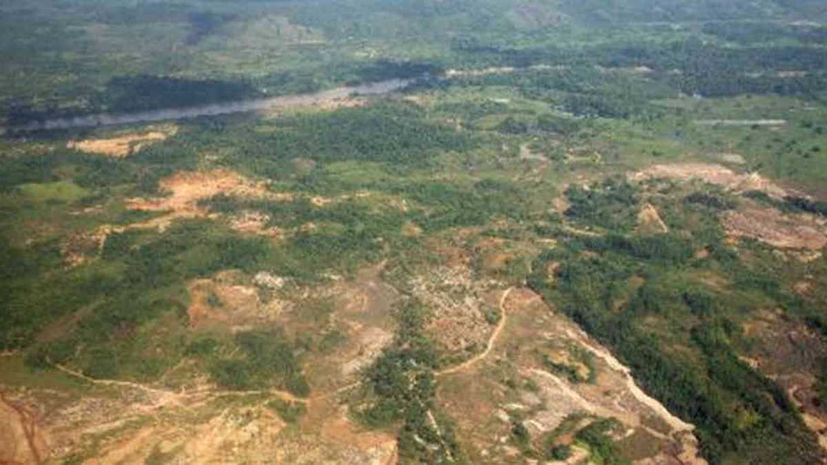 Chocó focaliza la mayor cantidad de explotación ilícita de oro de aluvión en zonas excluibles de minería.