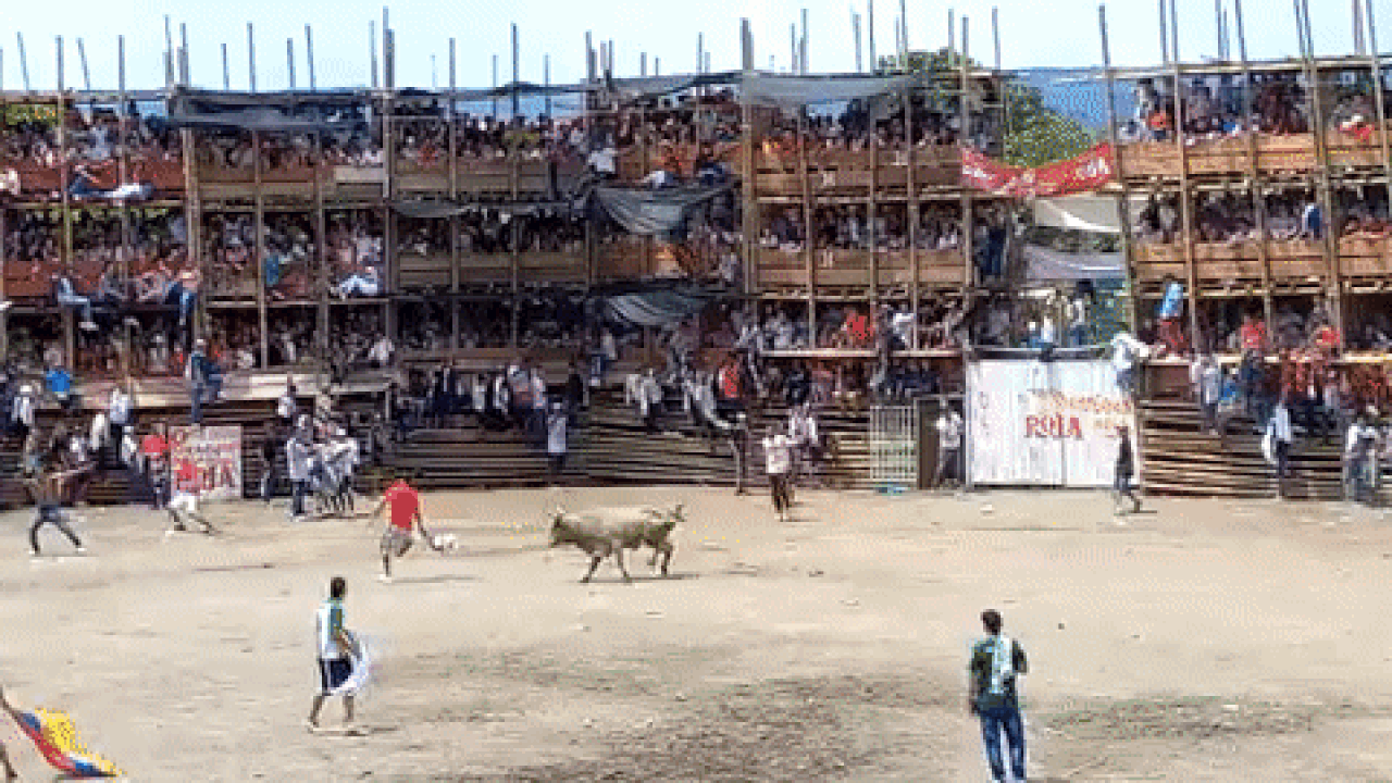 Tragedia durante corrida de toros en El Espinal, departamento del Tolima.
