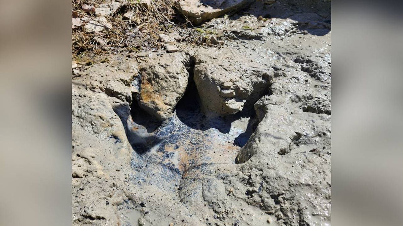 La sequía deja al descubierto, desde hace algunos años huellas de dinosaurios que se escondían bajo río en Texas.