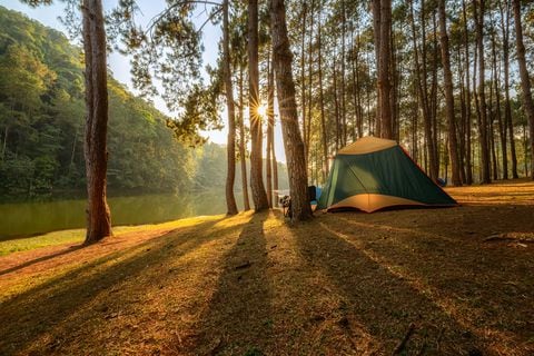 Existen oportunidades para acampar y hacer planes distintos
