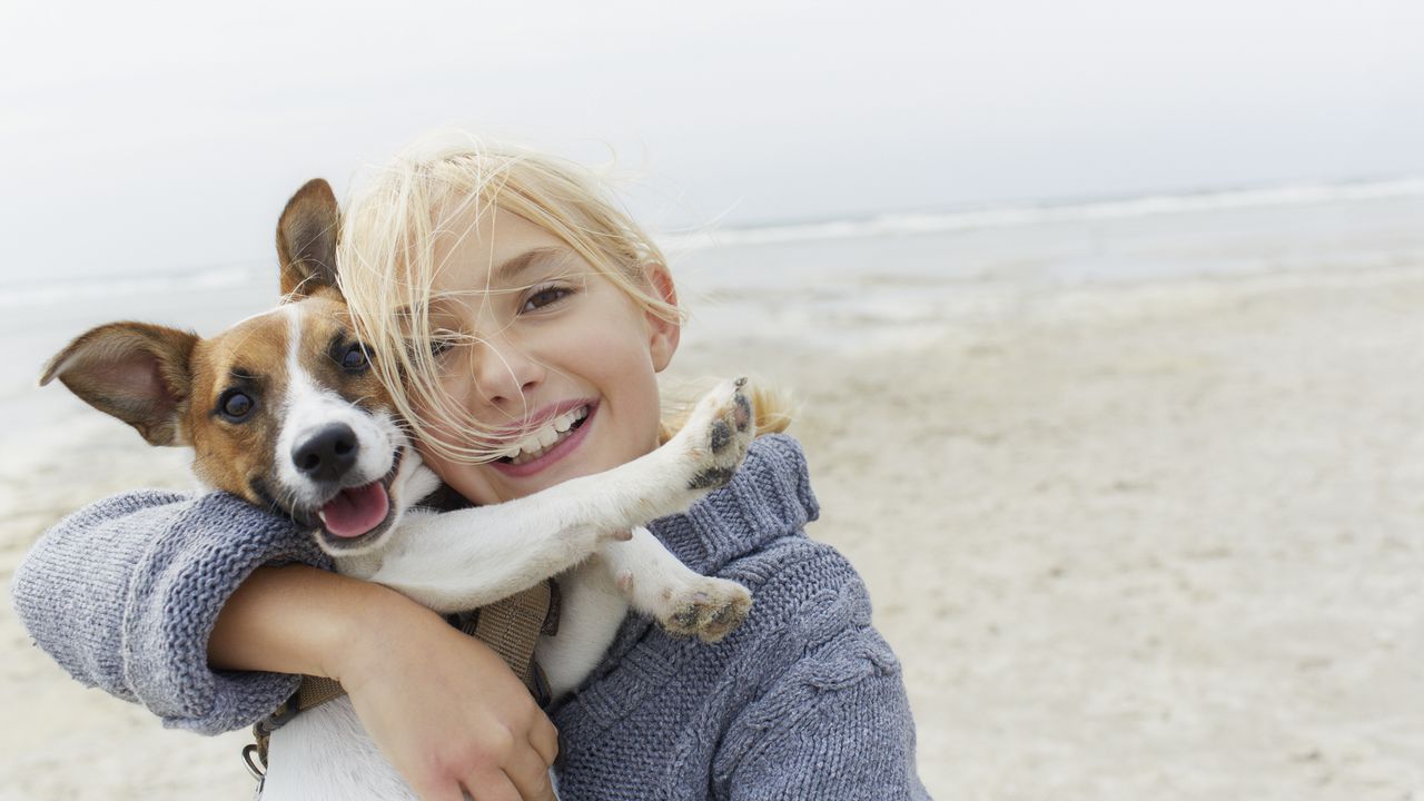 Fomentar la independencia y la confianza en el perro es importante para mantener una relación equilibrada y saludable.