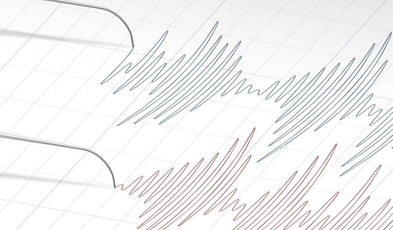 El lugar donde se situó el epicentro está en la zona en la que en marzo de 2021 se registró un terremoto de magnitud 8,1 en la escala abierta de Richter, que provocó evacuaciones en varias zonas de la Isla Norte de Nueva Zelanda.