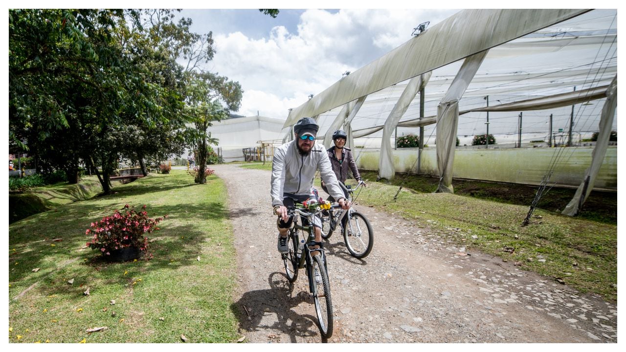Los cultivos de flores impulsaron el uso cotidiano de la bicicleta en los trabajadores de La Ceja, Antioquia.