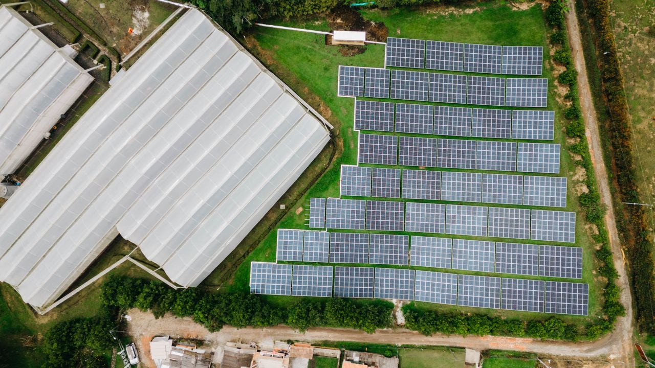 Flores Silvestres, la empresa colombiana que le apuesta a la sostenibilidad gracias a la energía fotovoltaica; ¿de qué trata?