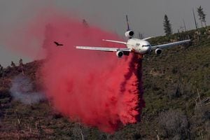 Un pájaro vuela mientras un avión de extinción de incendios arroja retardante de llama en una ladera para controlar el incendio de Oak mientras se quema cerca de Darrah en el condado de Mariposa, California, EE. UU., 24 de julio de 2022. Foto REUTERS/Carlos Barria 