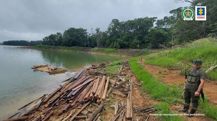 Importante golpe a red de tala ilegal en el Parque Natural Paramillo: capturadas 22 personas por arrasar con más de ocho hectáreas