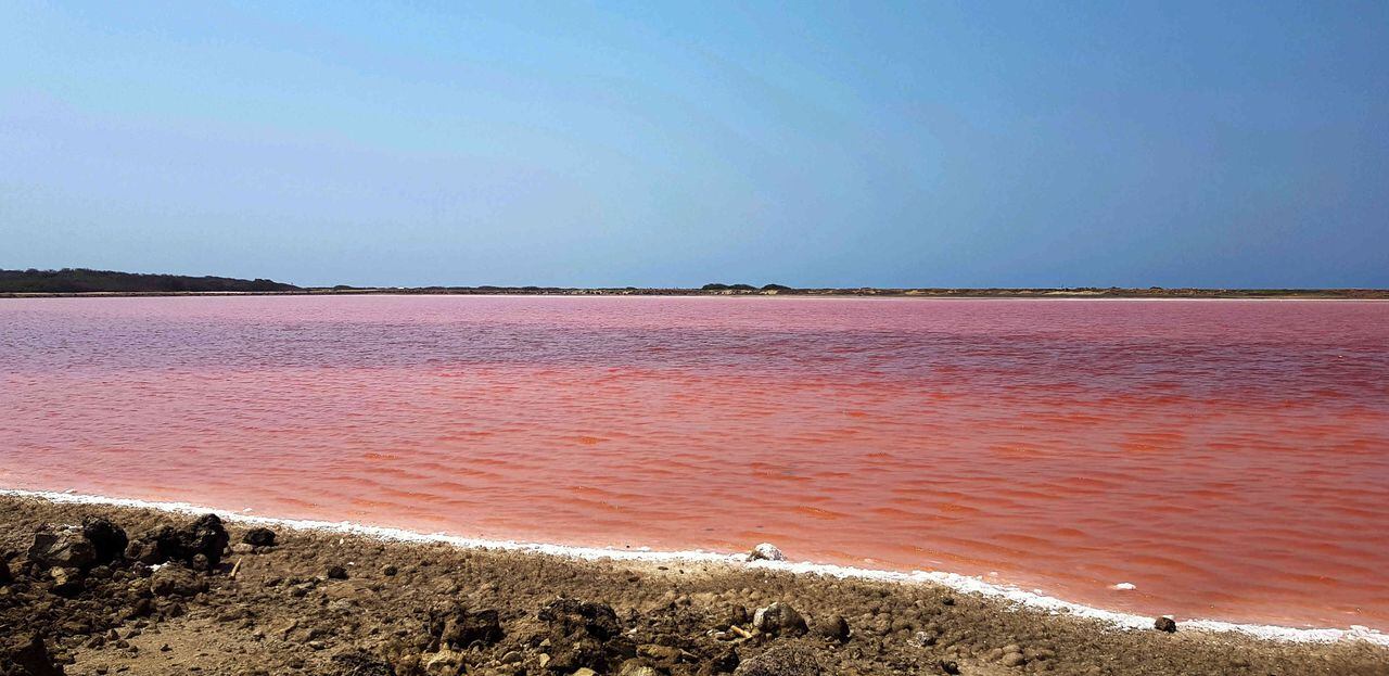 El mar rosa de las salinas de Salinas de Galerazamba es el resultado de un fenómeno natural derivado de la gran concentración de sal en sus aguas.