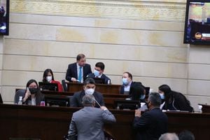 Plenarias del Congreso de la República durante la votación del proyecto de Inversión Social o Reforma tributaria 2021