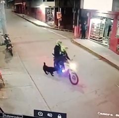 Las escenas de perros persiguiendo motociclistas son comunes en todo el mundo. Sin embargo, no se justifica la violenta reacción contra el animal.