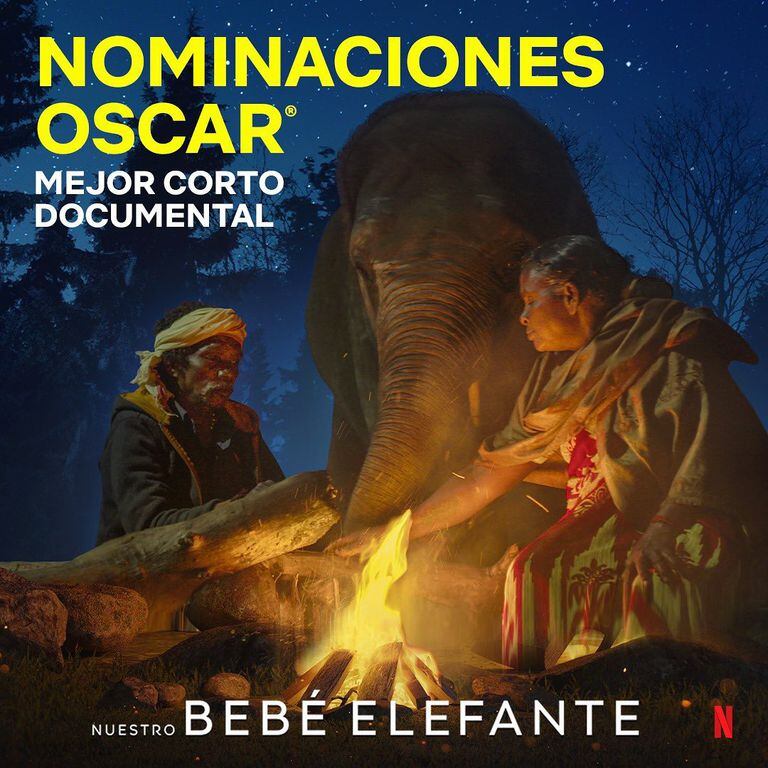 The Elephant Whisperers hace parte de las nominadas a Mejor corto documental. Foto: Instagram @netflixlatam.