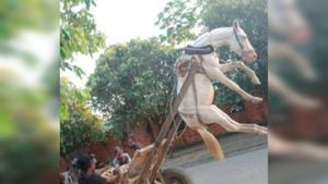 Caballo es víctima de maltrato animal en las calles de Turbo, Antioquia.