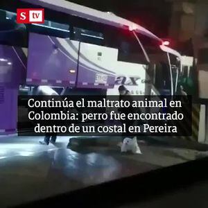 Continúa el maltrato animal en Colombia: perro fue encontrado dentro de un costal en Pereira