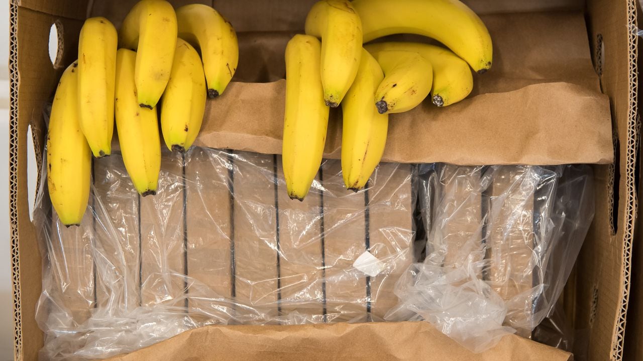 Bananos con carga de cocaína. Foto de Peter Kneffel/picture alliance via Getty Images