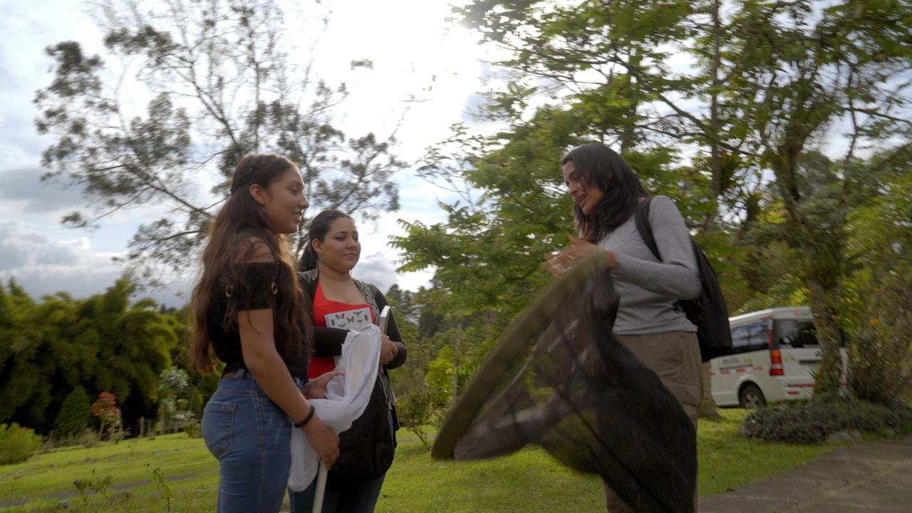 'Crisálida'se complementa con el ejemplo de Lina Moreno Marín, estudiante investigadora que vive en Ibagué (Tolima) y siente especial gusto por las mariposas.