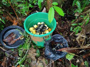 El depósito de minas antipersonales estaba escondido en un área boscosa.