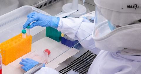 Investigadores de la Universidad de Antioquia aislaron el virus que genera la viruela del mono.