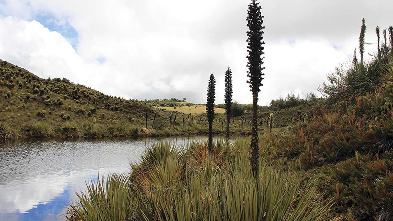 El 97 % de las aguas del río Bogotá palidecen por cuenta de la contaminación.