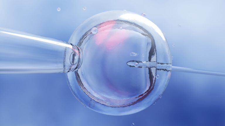 embriones congelados