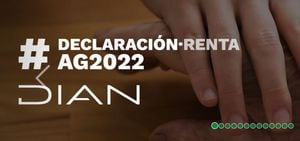 Declaración de Renta - Dian