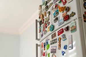 Lots of various souvenir magnets on the fridge in the kitchen