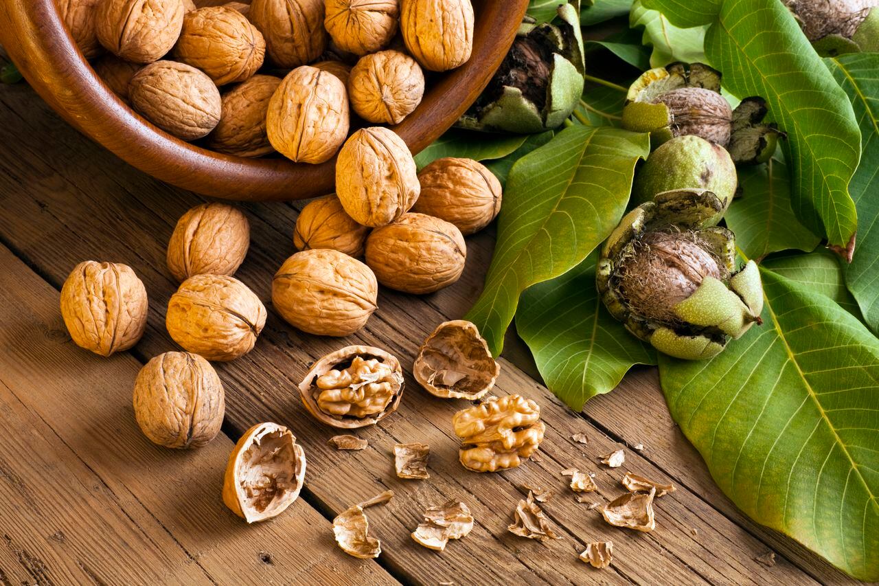 Nueces, el superalimento que lo ayudará a prevenir enfermedades cardiovasculares