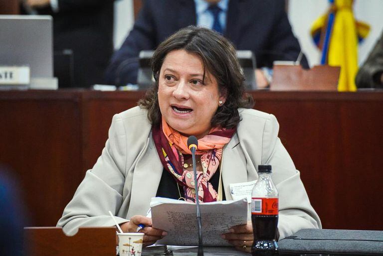 Directora ejecutiva de Gestarsalud, Carmen Eugenia Dávila.
