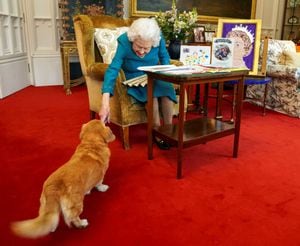 Imagen de archivo publicada en Londres el 4 de febrero de 2022 y tomada el mes pasado:  la reina Isabel II de Gran Bretaña acariciando a Candy, una perra Dorgi.