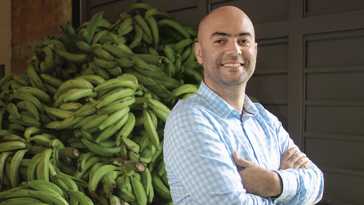 Han aprendido de las 33 variedades de plátano existentes en Colombia, y vieron las fortalezas del dominico hartón que se da en el Eje Cafetero. Tienen un cultivo de 104 hectáreas, en Combia, Risaralda.