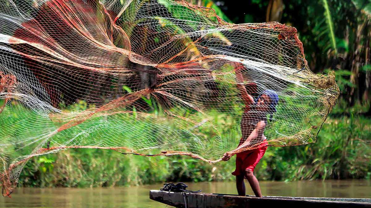 Para el biólogo Mauricio Valderrama, el pescador debe dejar de ser invisible para el país y las administraciones. Foto: archivo/Semana. 