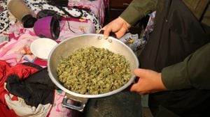 En los allanamientos, las autoridades incautaron 2.000 dosis de sustancias psicoactivas, entre ellas marihuana.
