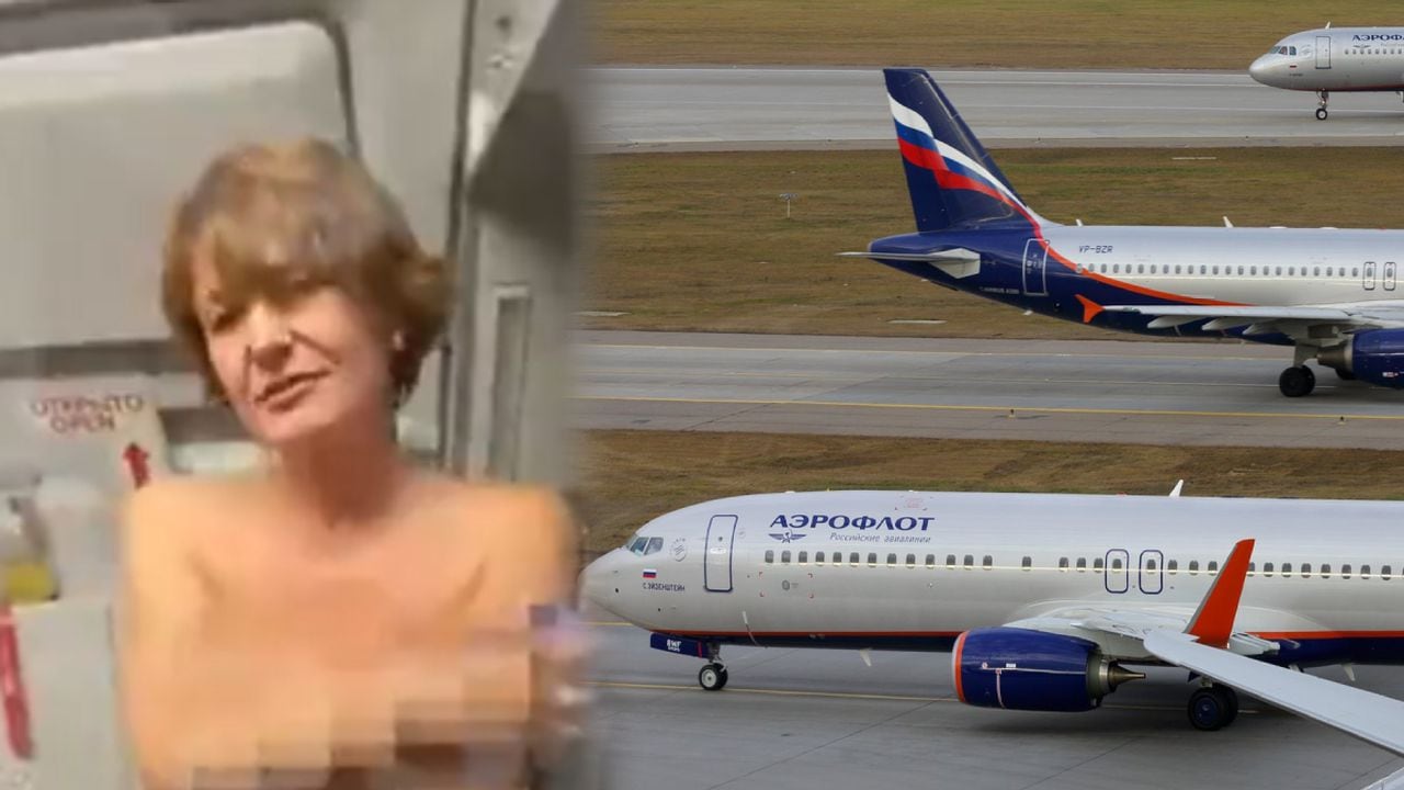 La pasajera, identificada como Anzhelika Moskvitina, de 49 años de edad, afirmó que era consciente que tras lo ocurrido en el avión sería enviada a la cárcel o a una clínica psiquiátrica.
