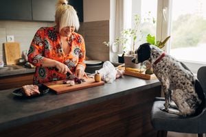 Skilled mid-adult woman, preparing vegetables and medium rare sirloin steak for the lunch in her modern kitchen while her mixed-breed/ponter dog makes her a company