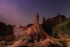 La fotografía ‘Noche en el Desierto de la Tatacoa’ de la fotógrafa Andrea Ortiz, fue la ganadora del National Award para Colombia y una de las diez finalistas a nivel mundial en los Sony World Photography Awards 2021.